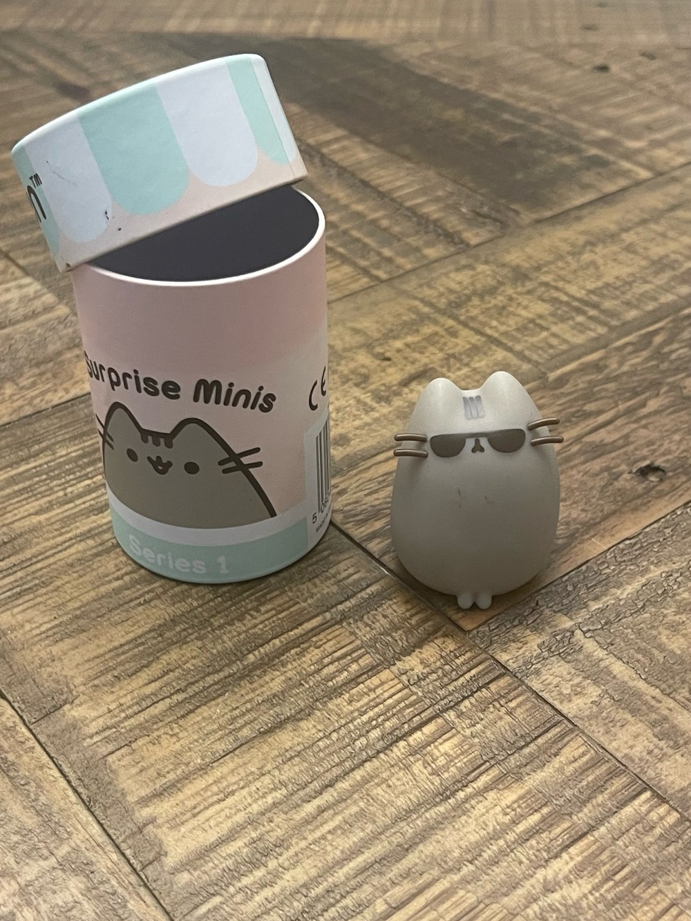 Pusheen Surprise Mini Series 1 Sunglasses Cat Mystery Box W/ Tube